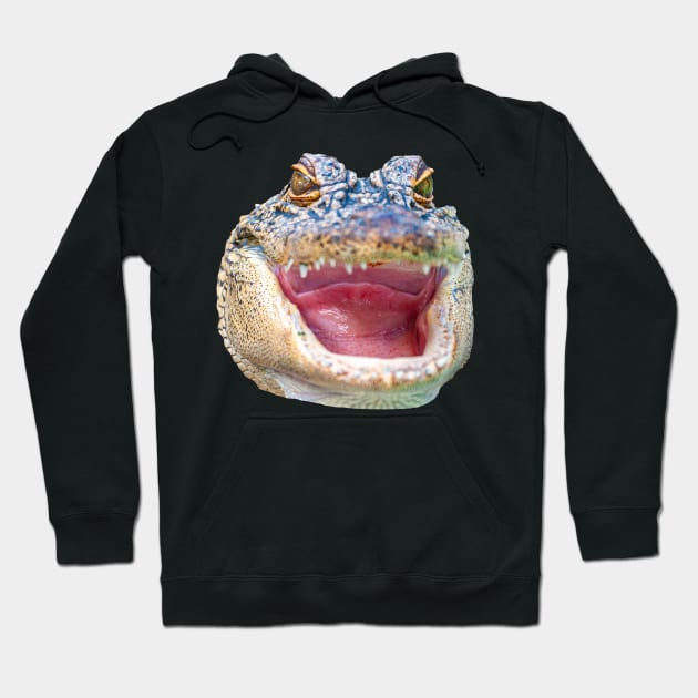 Smile for the Camera Gator Hoodie by dalyndigaital2@gmail.com